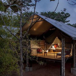 Luxury Tent Double Room Only